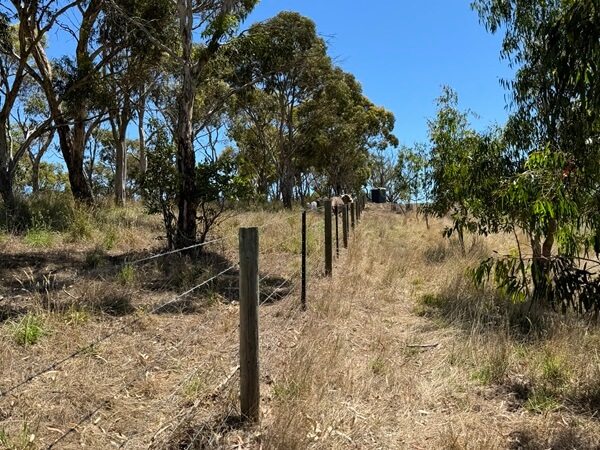 Image of a rural landscape