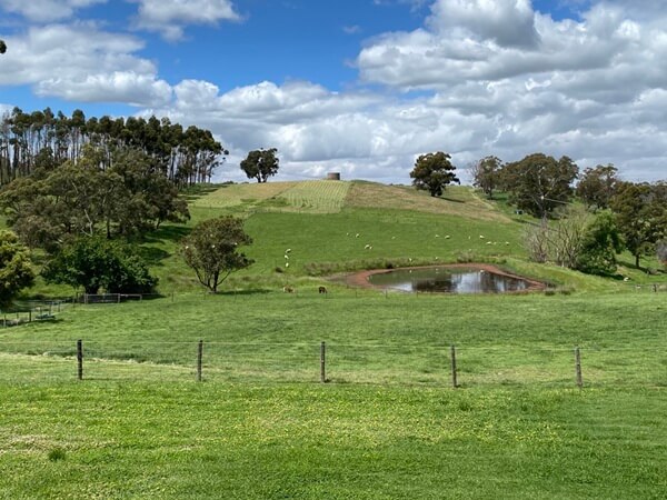 Image of a well mown paddock