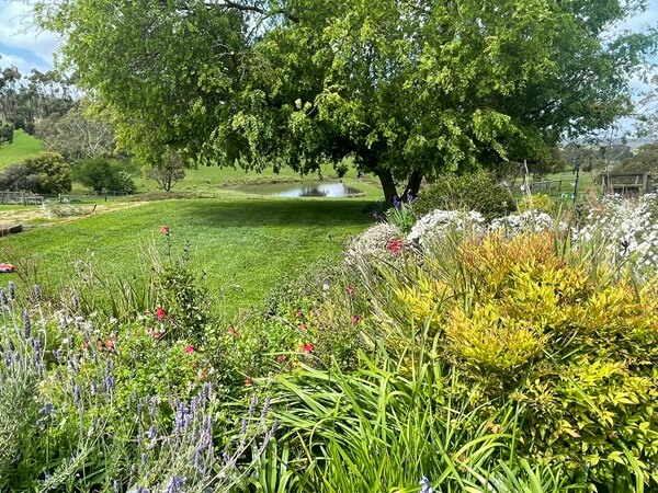 Image of a well-maintained garden